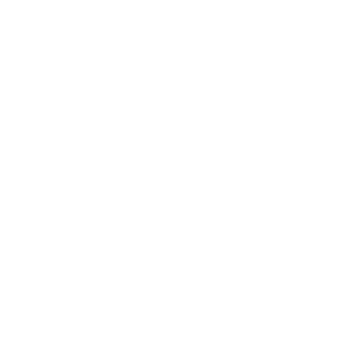programmer logo
