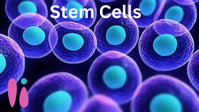 Important Articles held on 22nd and 23rd June -stem cells